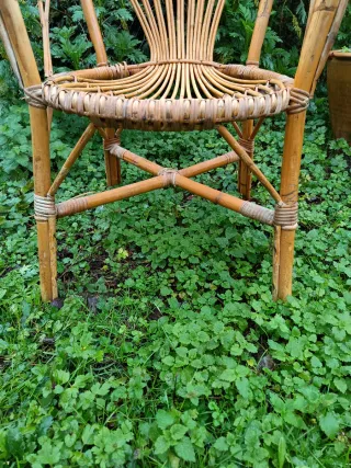 Silla de bambú y ratán estilo peacock