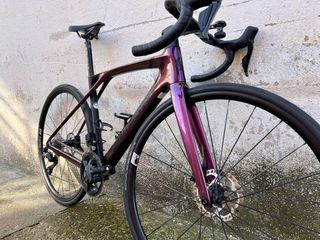 Lapierre Xelius SL 5.0 2024