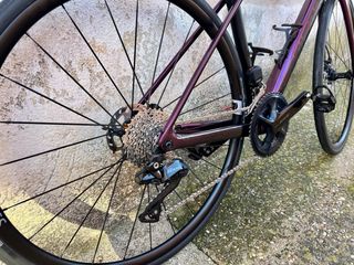 Lapierre Xelius SL 5.0 2024