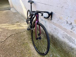 Lapierre Xelius SL 5.0 2024