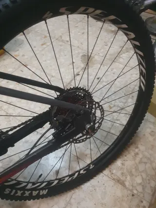 Bicicleta Specialized Rockhopper Expert 29