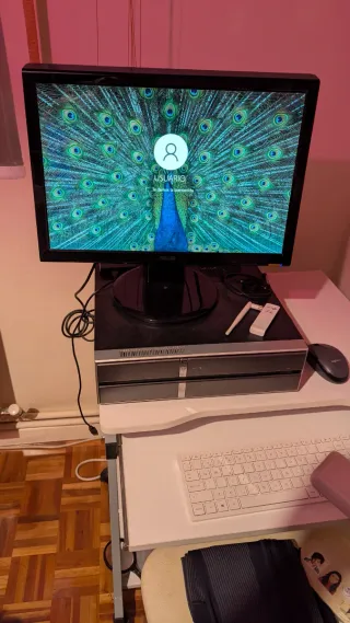 Ordenador sobremesa Windows 10 con monitor.