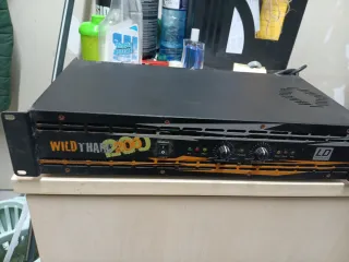 Amplificador LD Systems WILD THANG 200