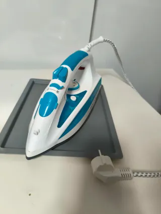 Russell Hobbs Plancha Steam Glide Prof.