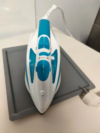 Russell Hobbs Plancha Steam Glide Prof.