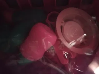 Perro Juguete con Transportín y Accesorios