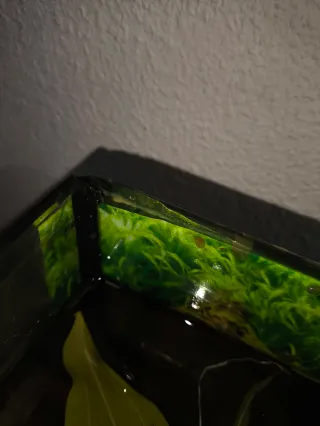 Acuario 120L completo. LEER!! Tiene desperfectos.