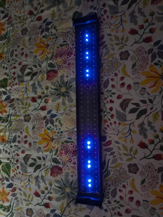 Acuario 120L completo. LEER!! Tiene desperfectos.