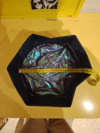 Piscina para gatos/perros