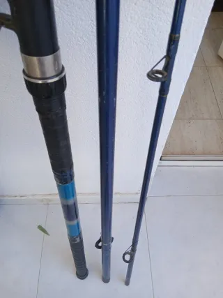Caña de pescar con carrete Daiwa 10000