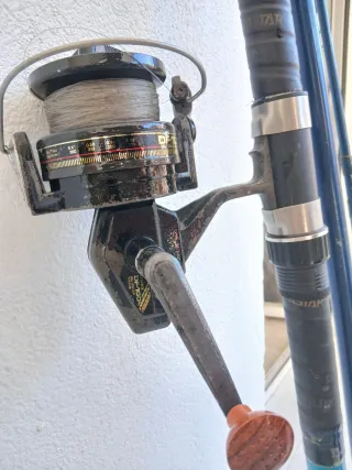 Caña de pescar con carrete Daiwa 10000