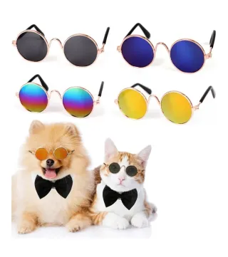 Gafas de sol redondas para mascotas