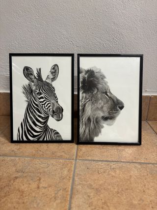 Cuadros Decorativos León y Cebra