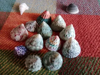 Lote Caracolas Pirámide