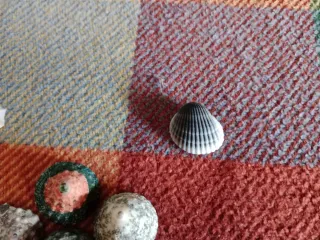 Lote Caracolas Pirámide