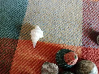 Lote Caracolas Pirámide