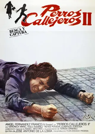 Posters de Cine Quinqui (Elige tú favorito)