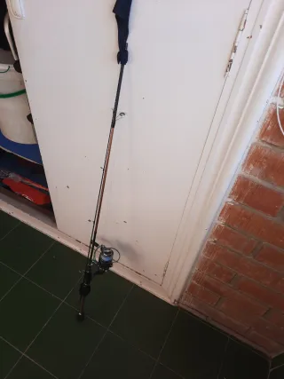 Caña de pescar con carrete spining ligero.