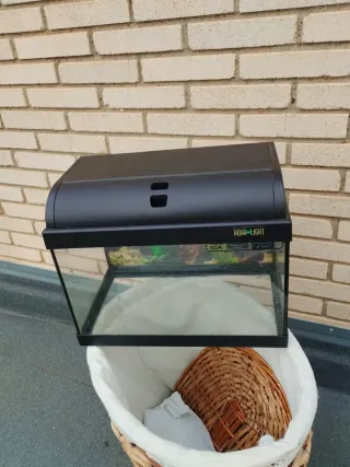 Pecera 25L con tapa