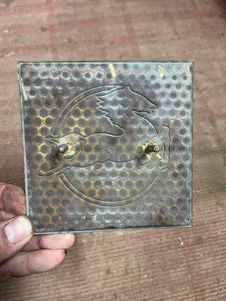 Insignia Camión Pegaso