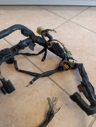 Cablaggio Yamaha YZF-R6 2006-2007