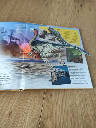 La velocidad en la naturaleza una visión tridim...