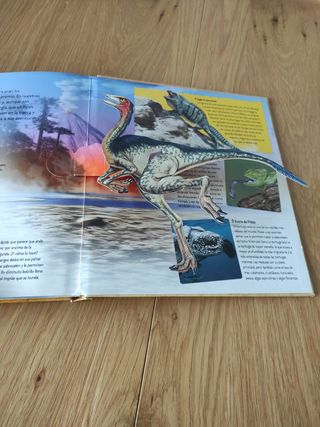 La velocidad en la naturaleza una visión tridim...