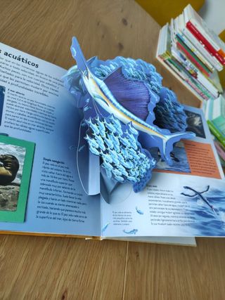 La velocidad en la naturaleza una visión tridim...