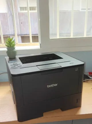 Impresora Brother HL-L50000 Negra