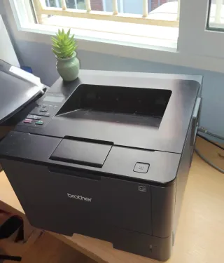 Impresora Brother HL-L50000 Negra