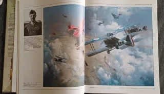 An Illustrated History of the RAF Battle of Bri...