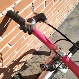 Bicicleta niña montaña DTB