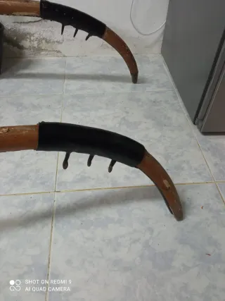 Carro de caballos  de paseo centenario funcional