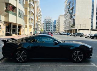 Ford Mustang EcoBoost 2.3 • 315 CV • 2024 16mil km