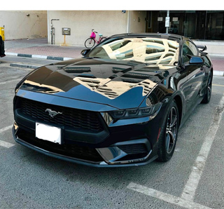 Ford Mustang EcoBoost 2.3 • 315 CV • 2024 16mil km