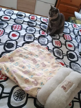 Cama/saco para gatos suave
