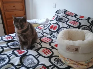 Cama/saco para gatos suave