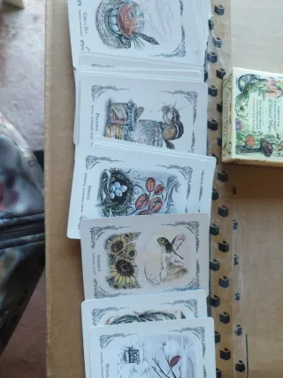 The Green Witch's Oracle Deck