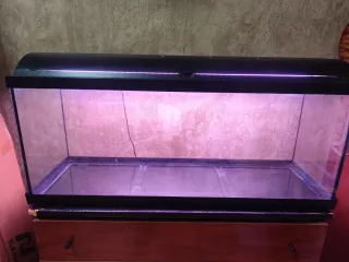 Acuario 120L