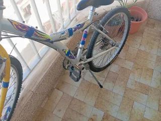 Bicicleta de montaña plateada y para Aser trucos