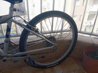 Bicicleta de montaña plateada y para Aser trucos