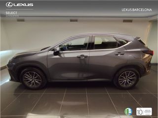 Lexus NX450+ PREMIUM+ 4WD 2025