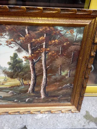 Cuadro paisaje río y montañas