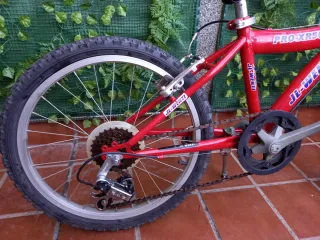 Bicicleta Infantil JL-WENTI PRO-XR500