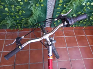 Bicicleta Infantil JL-WENTI PRO-XR500