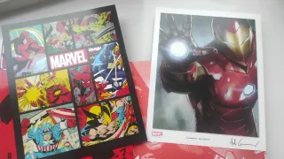 Universo MARVEL: Superhéroes - Villanos - Local...