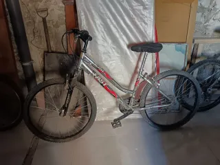 Bicicleta de montaña plateada