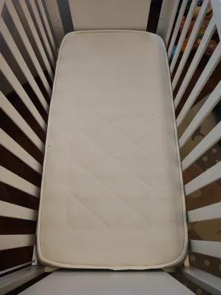 Cuna "Sabana Micuna"