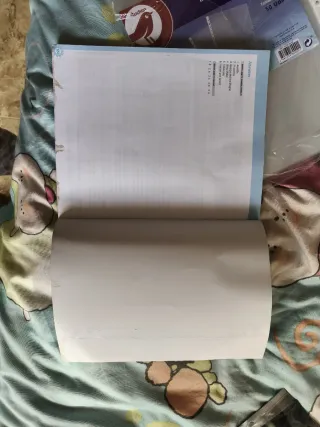 Think ahead 3ºeso wb 18 workbook