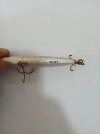 Bassday Bungy Cast 100 30gr